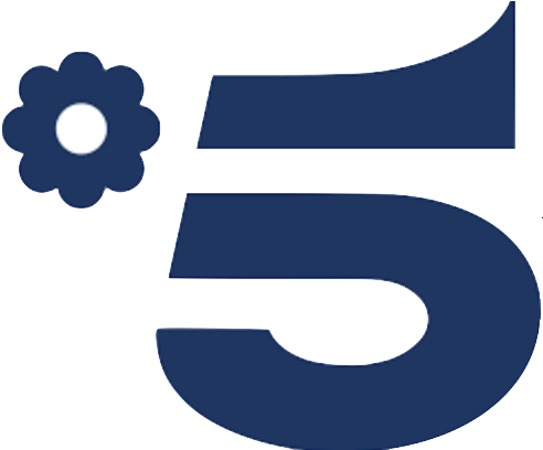 logo canale 5
