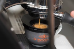 Coffee Contamination